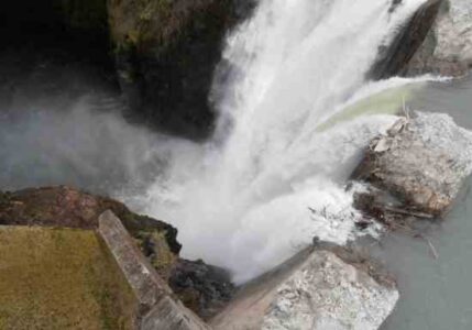 The Return of Salmon Image